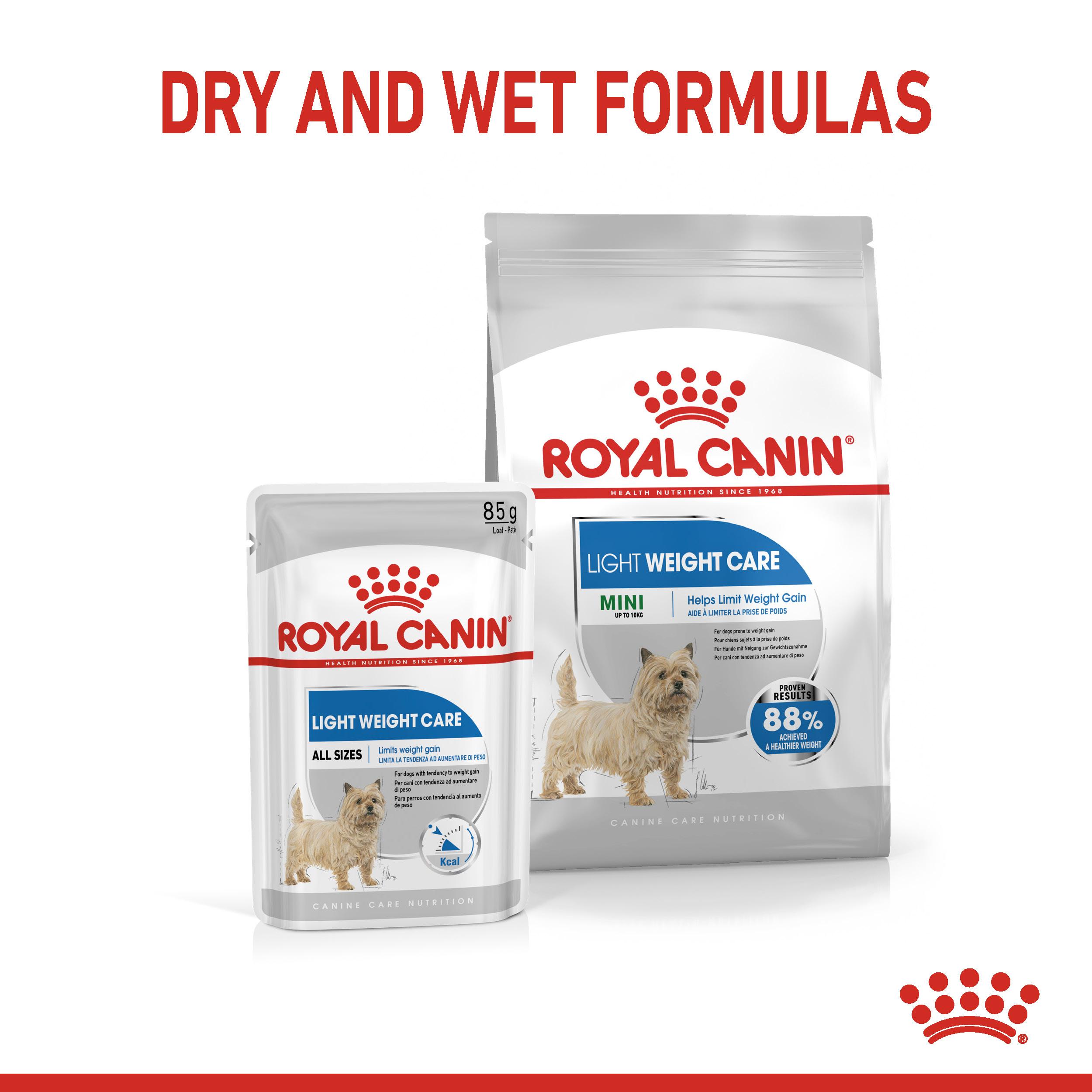 Royal canin mini light 8kg hotsell